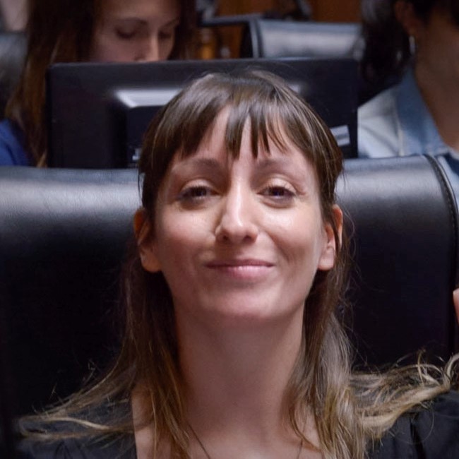 Legisladora Berenice Iañez